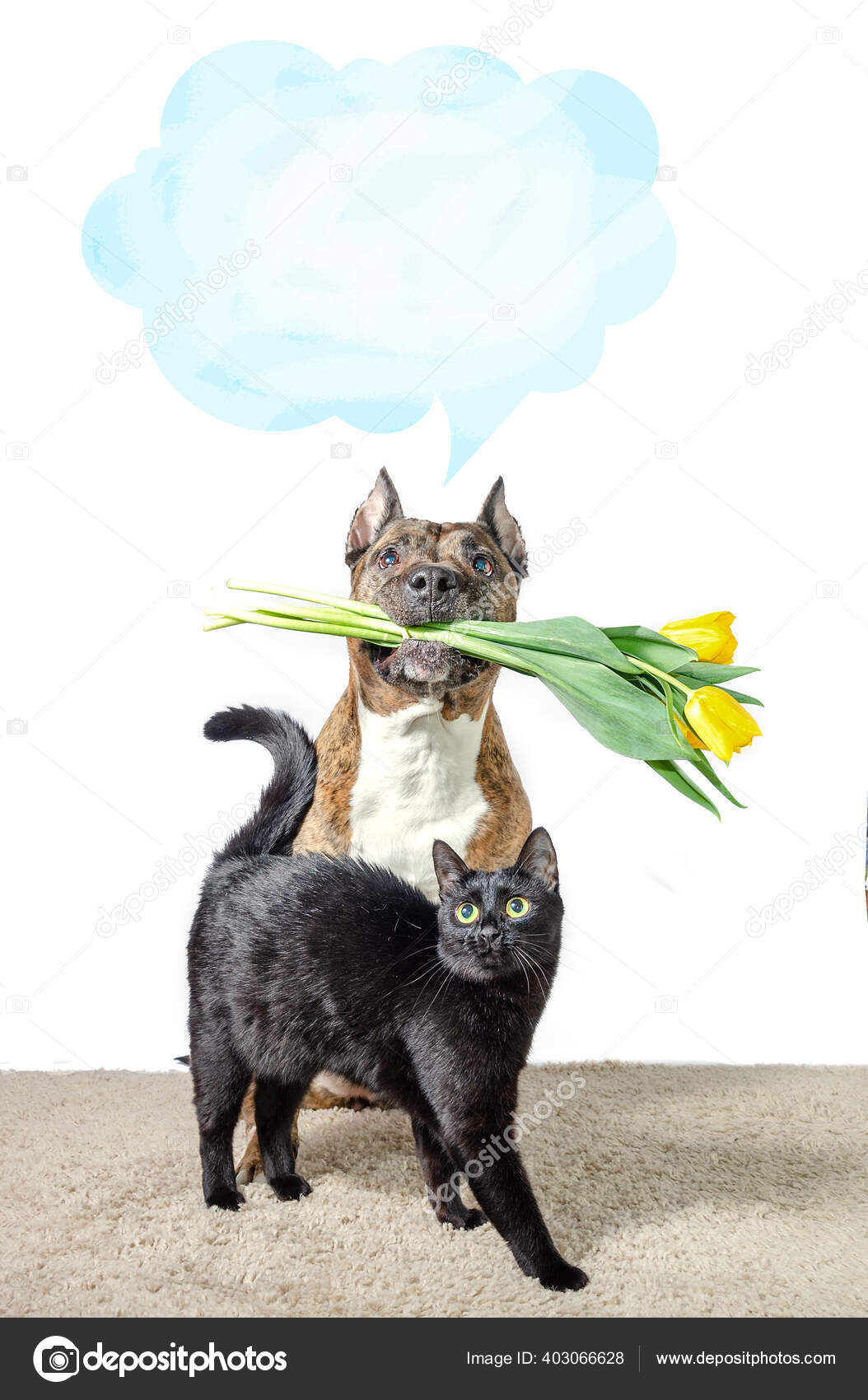 Are Dogs Or Cats Good To Tulips