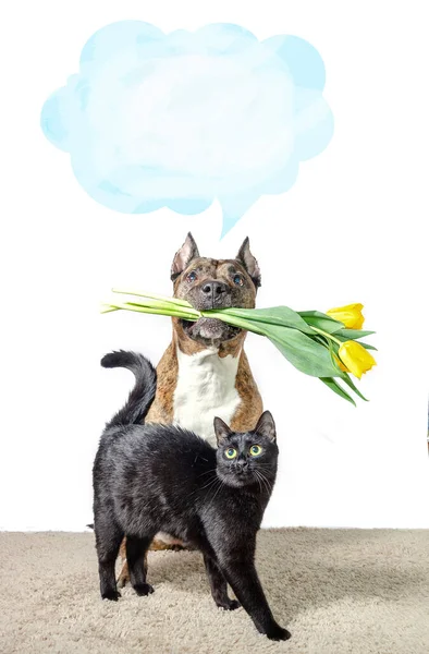 A large dog with a bouquet of yellow tulips in its teeth and a small black cat in front of it. Above the dog\'s head is a bubble for text. Blank for a greeting card.