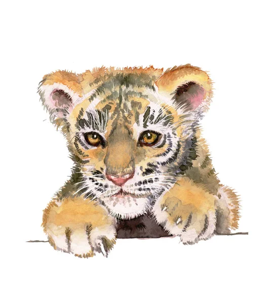 Beau Visage Tiger Nub Image Aquarelle — Photo