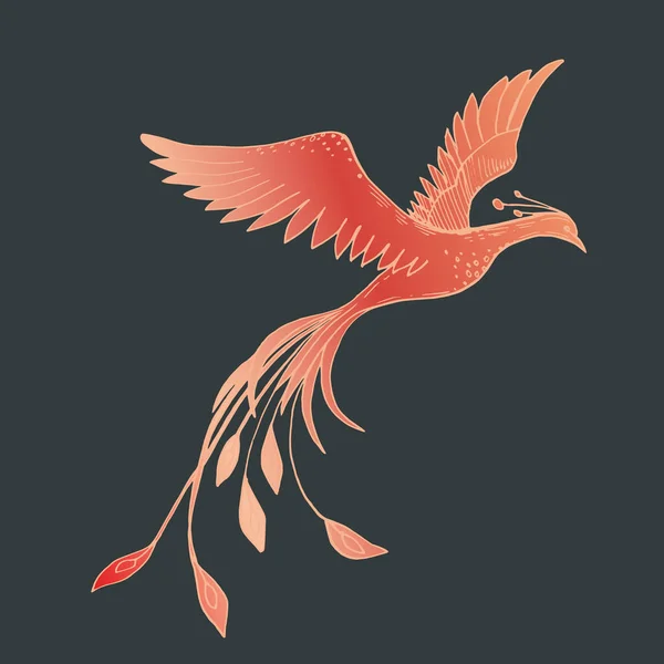 Imagen vectorial de un pájaro de fuego rojo sobre un fondo oscuro — Vector de stock