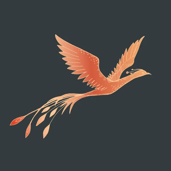 Imagen vectorial de un fénix volador rojo sobre un fondo oscuro — Vector de stock