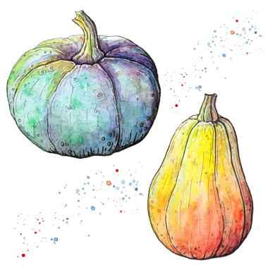 beyaz arkaplanda renk ve balkabakları