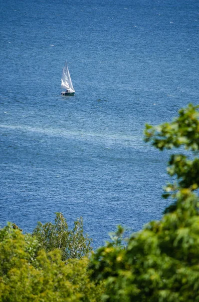 在蓝水中航行的船和前景光明的树冠 — 图库照片