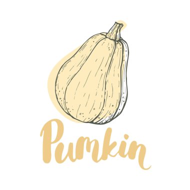 Beyaz arkaplanda kabak izole