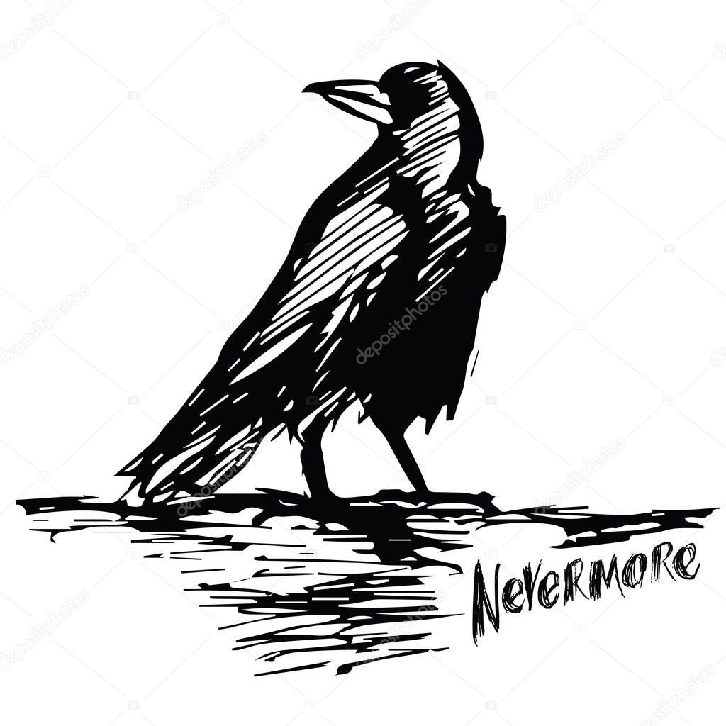 Raven and nevermore lettering, vector illustration