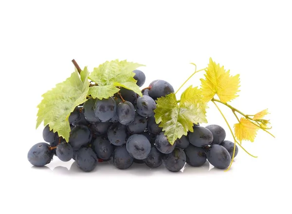 Uvas Con Hoja Verde Sobre Fondo Blanco —  Fotos de Stock