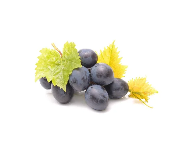 Uvas Con Hoja Verde Sobre Fondo Blanco —  Fotos de Stock