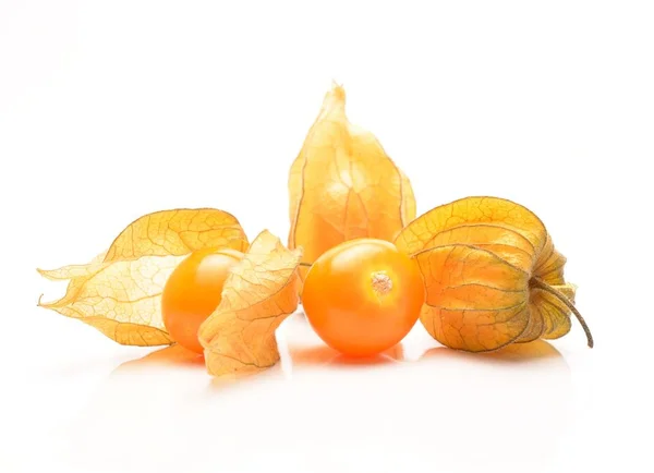 Physalis Vrucht Ook Wel Bekend Als Chinese Lantaarn — Stockfoto