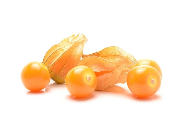 Physalis Vrucht Ook Wel Bekend Als Chinese Lantaarn — Stockfoto