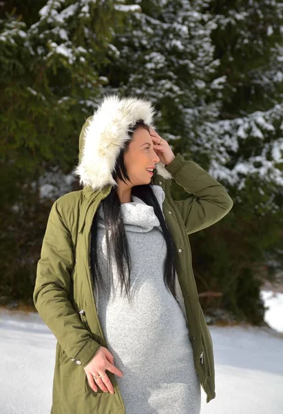 Young Happy Pregnant Woman Snowy Nature — Stockfoto