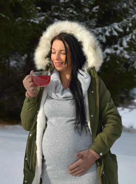 Young Happy Pregnant Woman Snowy Nature — Stockfoto