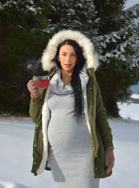 Young Happy Pregnant Woman Snowy Nature — Stockfoto