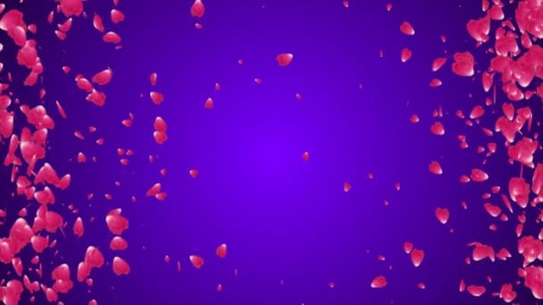 Rose Petals Vallen Video Motion Graphics Animatie Achtergrond Lus — Stockvideo