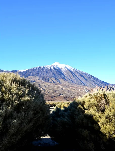 Táj Teide Nemzeti Park Tenerife Kanári Szigetek Spanyolország — Stock Fotó
