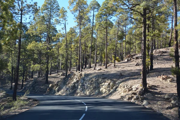 Yatay Milli Parkı Teide, Tenerife, Kanarya Adaları, İspanya üzerinden.