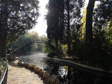 Sonbahar renkli Kasım manzara. Çıplak ağaçlar ve kuru turuncu düşen sonbahar yaprakları, gizemli Sonbahar Doğa görünümü ile sonbahar park.