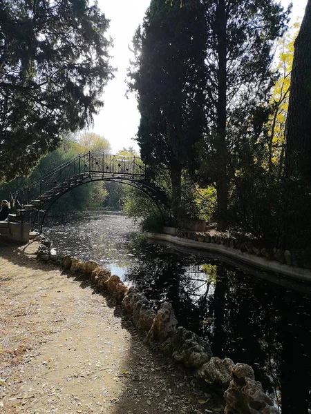 Otoño Colorido Paisaje Noviembre Parque Otoño Con Árboles Desnudos Hojas — Foto de Stock