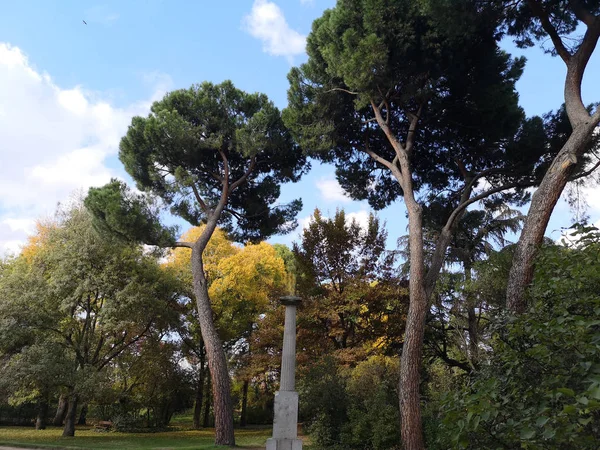 Otoño Colorido Paisaje Noviembre Parque Otoño Con Árboles Desnudos Hojas — Foto de Stock