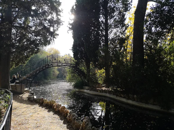 Autunno Colorato Paesaggio Novembre Parco Autunnale Con Alberi Spogli Foglie — Foto Stock