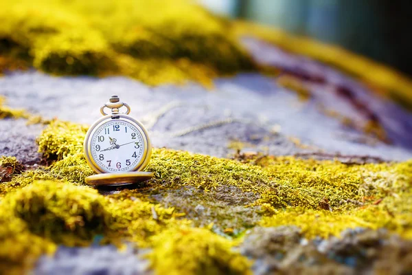 Reloj de bolsillo de oro de estilo retro en roca descalza . — Foto de Stock