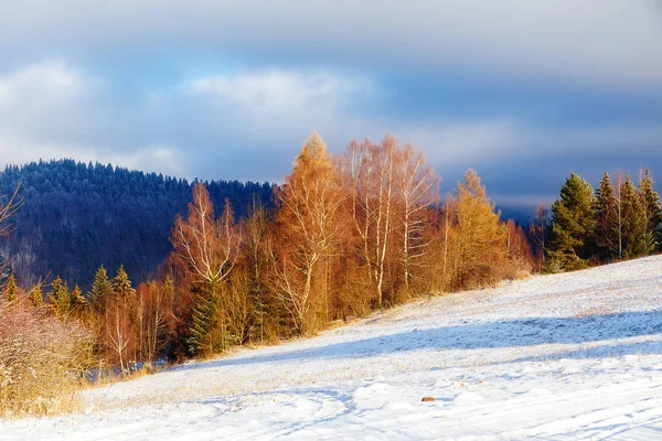 Beau paysage enneigé de montagne. Belle journée ensoleillée dans les montagnes . — Photo