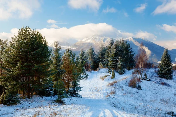 Beautiful mountain snowy landscape and snow covered trees. Beautiful sunny day in the mountains. — Stock Photo, Image