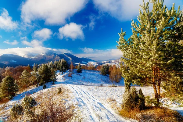 Beautiful mountain snowy landscape and forest path. Beautiful sunny day in the mountains. — Stock Photo, Image