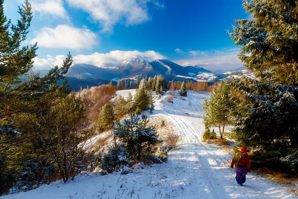 Fille en robe ethno colorée debout au milieu du paysage d'hiver . — Photo