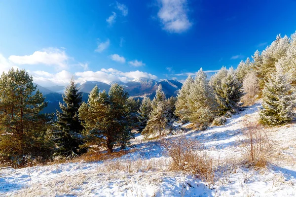 Beau paysage enneigé de montagne et arbres enneigés. Belle journée ensoleillée dans les montagnes. — Photo