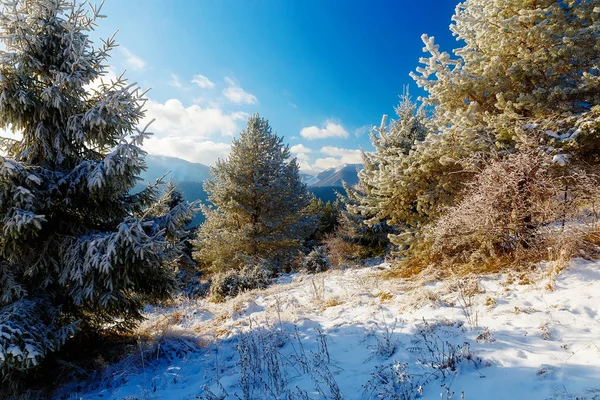 Beau paysage enneigé de montagne et arbres enneigés. Belle journée ensoleillée dans les montagnes. — Photo