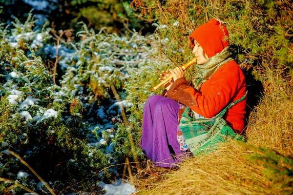 Orman onun flüt çalmaya bir tarihsel kostüm güzel kız. — Stok fotoğraf