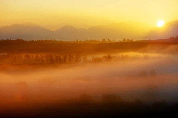 Un beau paysage matinal avec soleil et brouillard . — Photo