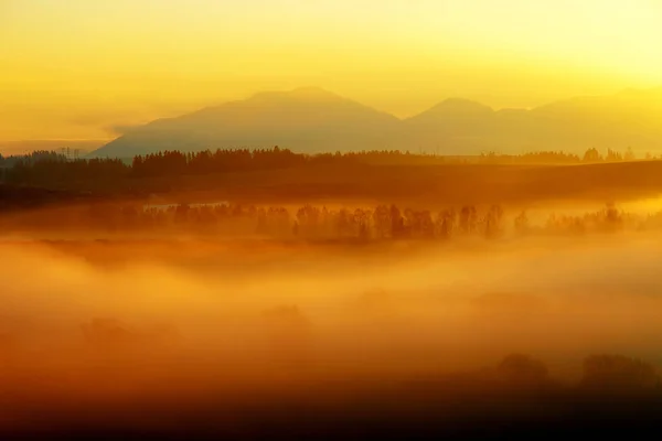 Eine wunderschöne Morgenlandschaft mit Sonnenschein und Nebel. — Stockfoto