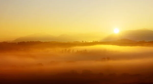 Гарний ранковий пейзаж з сонцем і туманом . — стокове фото