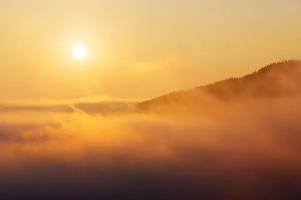 Uma bela paisagem matinal com sol e neblina . — Fotografia de Stock