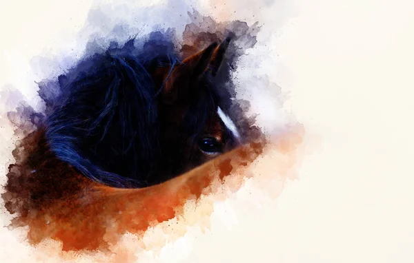 Häst ansikte och mjukt suddig akvarell bakgrund. Kopiera utrymme. — Stockfoto