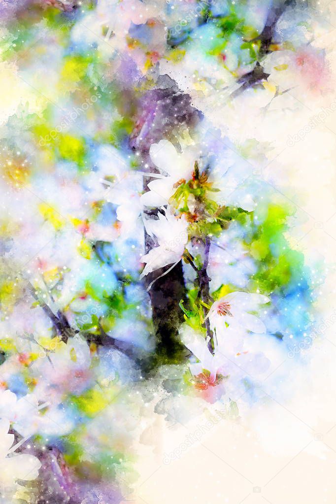 Spring flowers, Spring blossom background and softly blurred watercolor background.