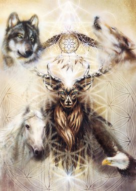 Kutsal süs geyik ruhu ile dream catcher simge ve tüyleri ve merkaba ve çiçek yaşam.