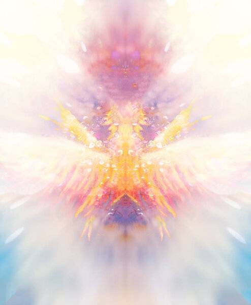 shamanic extatic vision theme with phoenic wings.