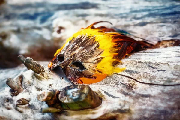 Máscara de plumas chamánica acostado en un pedazo de madera . —  Fotos de Stock