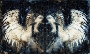 Hint headdress nedeni siyah kuzgun tüyleri yapılmış.