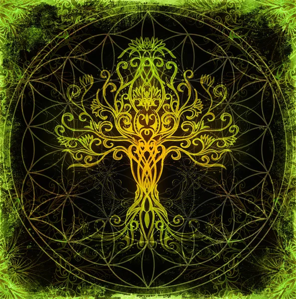 Symbole de l'arbre de vie sur fond ornemental structuré, yggdrasil. — Photo