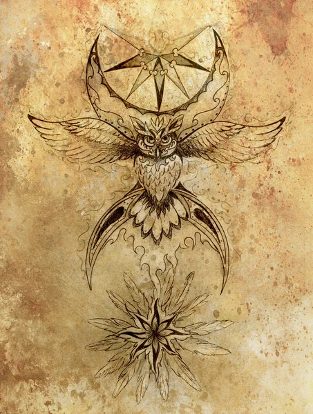 Ozdobny rysunek świętej sowy z symbolem księżyca i piórami. — Zdjęcie stockowe
