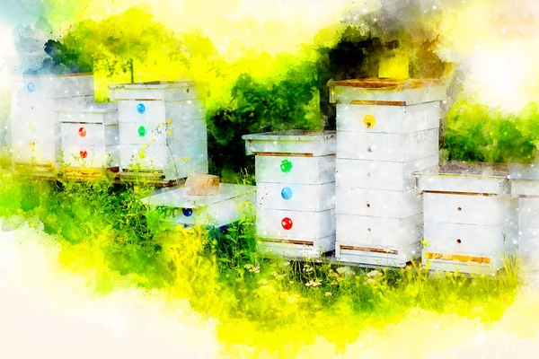 Colmenas blancas de abejas en el colmenar y fondo de acuarela suavemente borrosa . —  Fotos de Stock