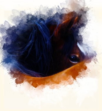 At yüzü ve suluboya arkaplan bulanıklığı.