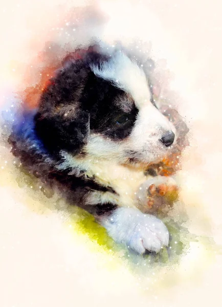 Štěně pes a jemně rozmazané akvarel pozadí. — Stock fotografie