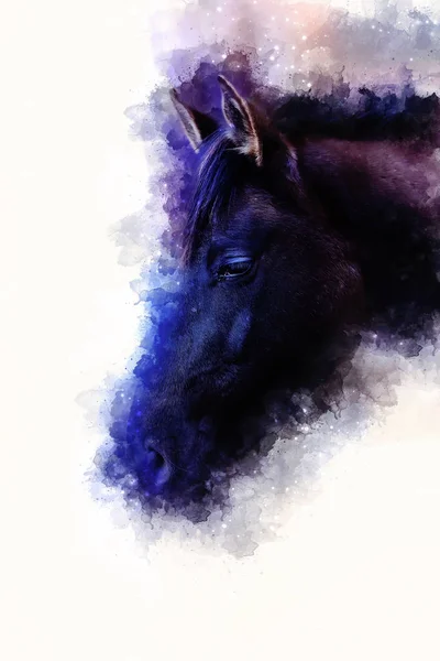 Koňská tvář a jemně rozmazané akvarel pozadí. — Stock fotografie