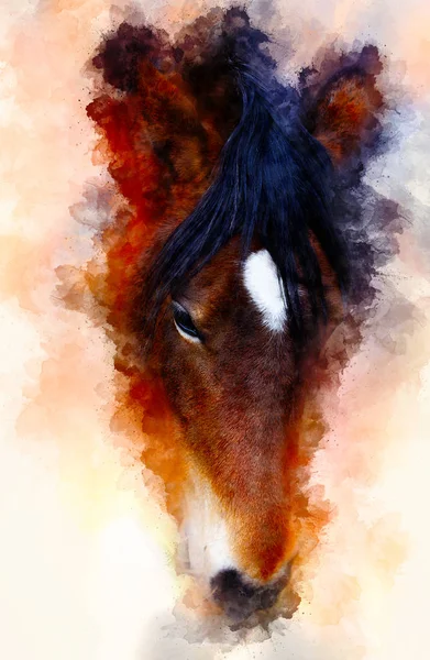 Visage de cheval et fond aquarelle doucement flou. — Photo