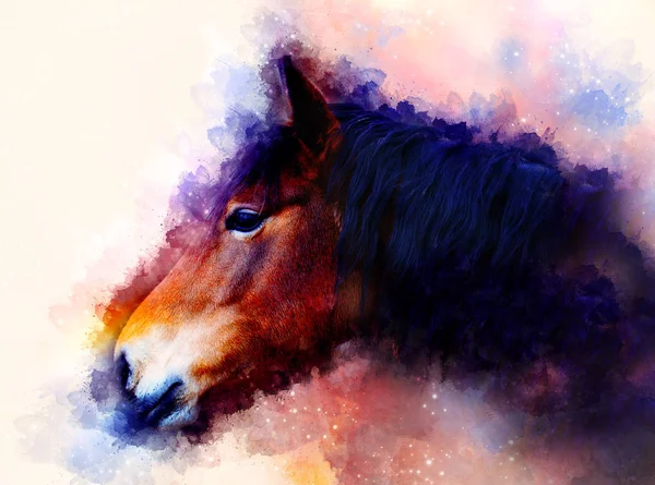 馬の顔と柔らかくぼやけた水彩画の背景. — ストック写真