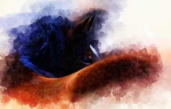 Häst ansikte och mjukt suddig akvarell bakgrund. — Stockfoto